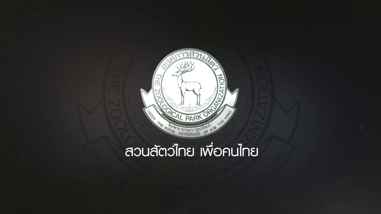 Zoo for Thai people